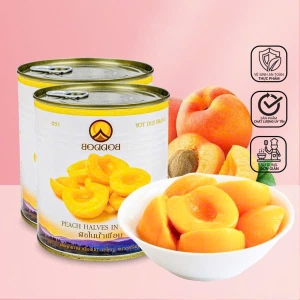 dao-lon-boddob-dao-ngam-dong-lon